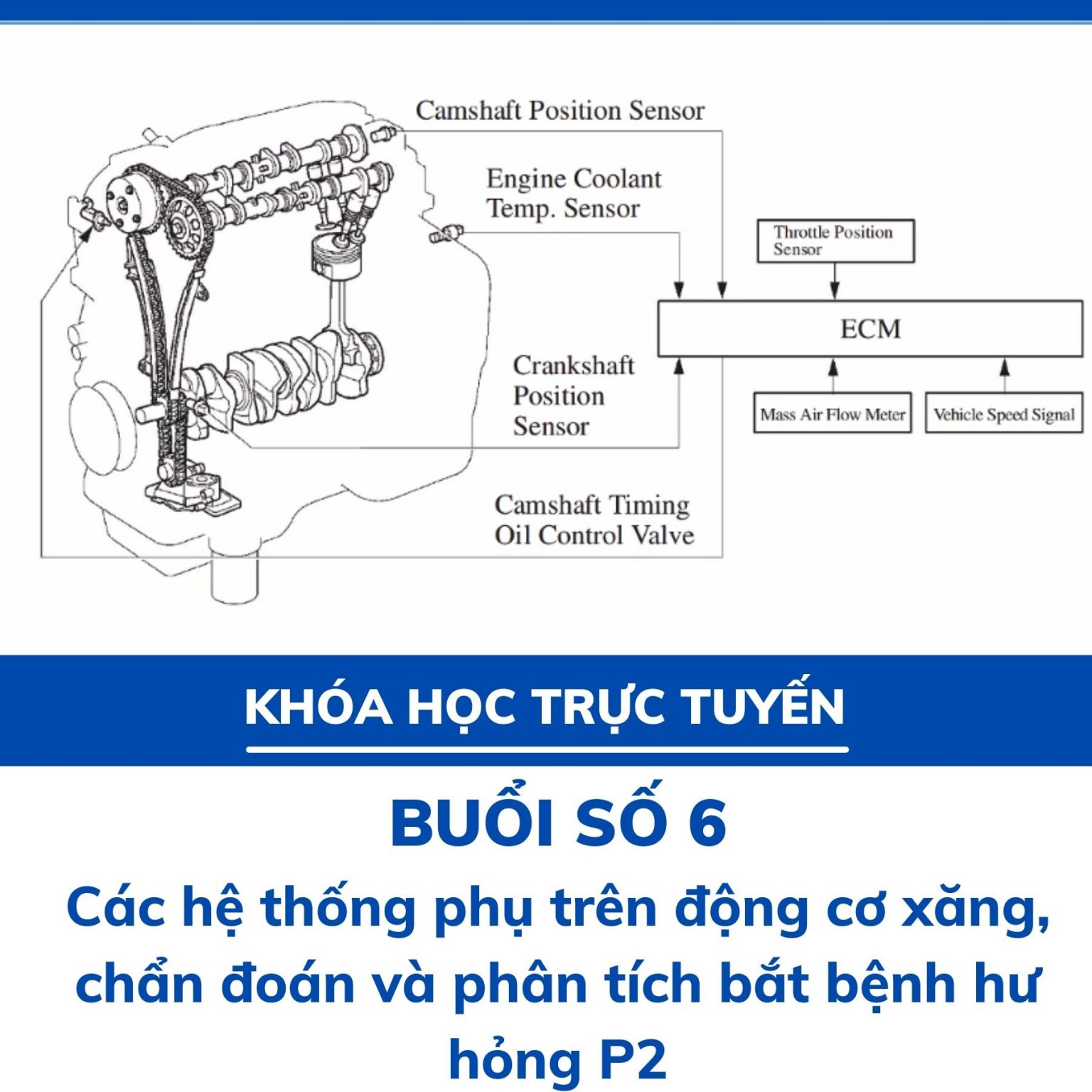 buổi học trực tuyến số 6