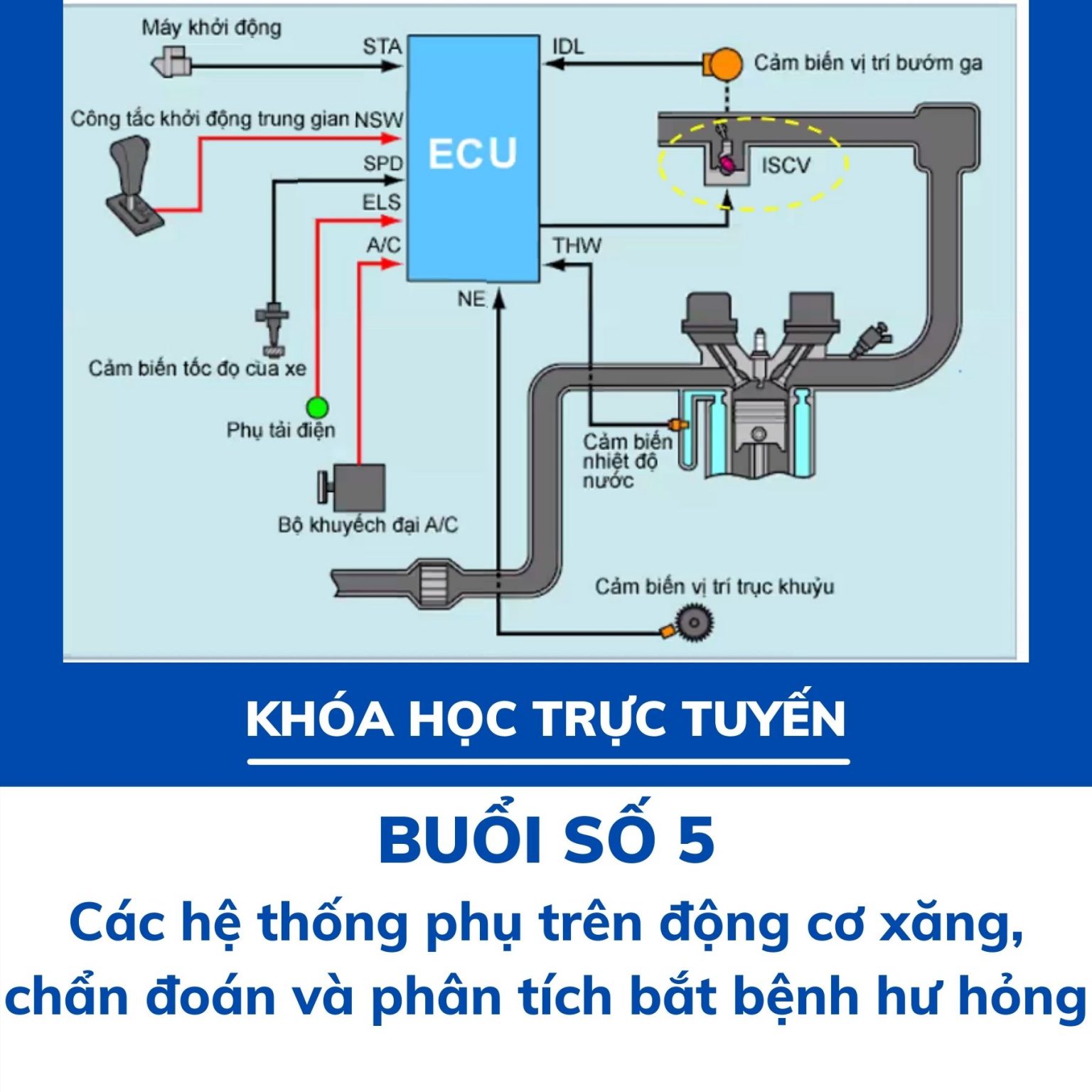 học trực tuyến buổi 5