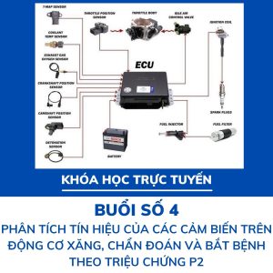 Buổi học trực tuyến số 4