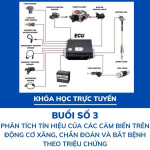 học trực tuyến buổi 3